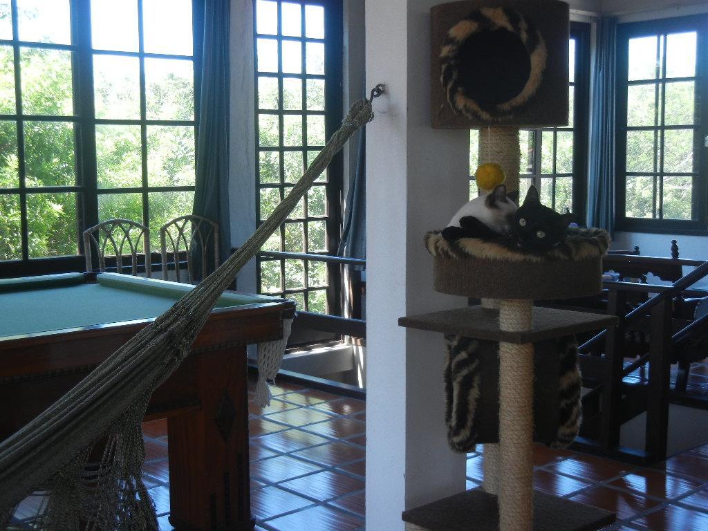 The Cats' House Hotel Florianopolis Exterior photo