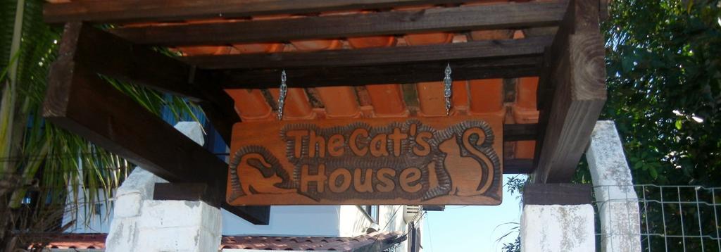 The Cats' House Hotel Florianopolis Exterior photo